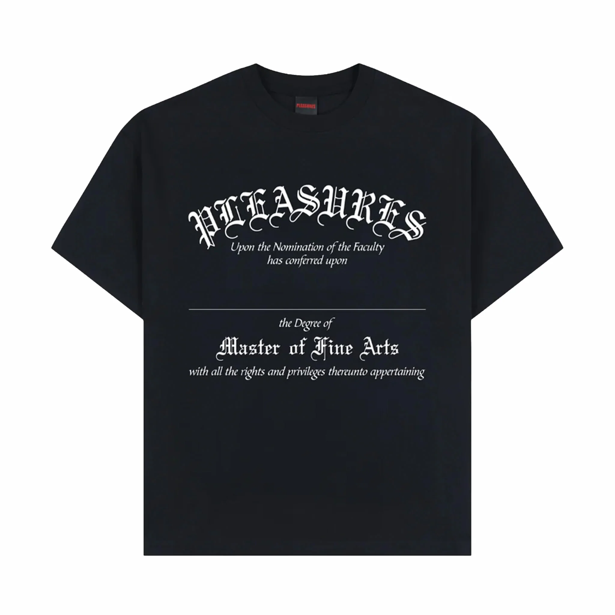 Pleasures Degree T-Shirt (Black)
